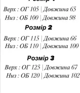 Спортивный костюм двунитка EFR-169A450