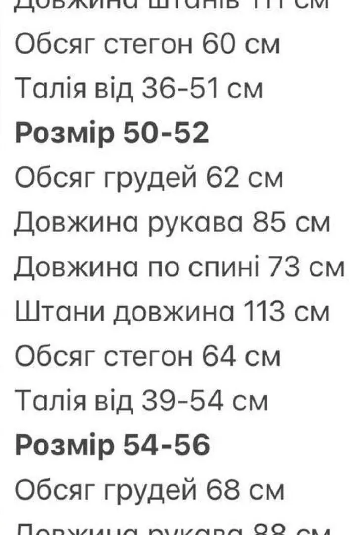 Мужской спортивный костюм из плащевки  INT-0600A720