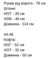 Замшевый костюм RBR-1296A650