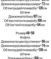 Женский велюровый костюм STB-072A650