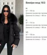 Зимова куртка без капюшона ZL-183A1800