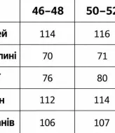 Мужской теплый спортивный костюм на флисе LYR-0295A660