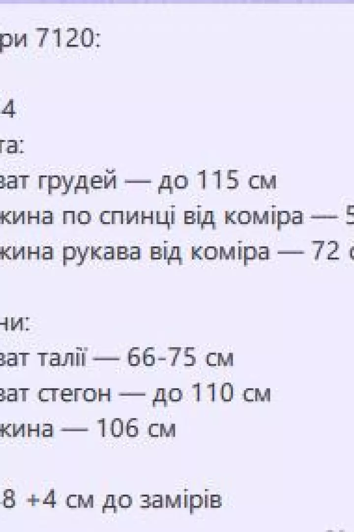 Просторный костюм  SPL-7120A1400