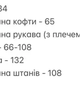 Флисовый спортивный костюм с вышивкой SOLO-294A1350