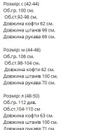 Спорт костюм велюр VM-10365A510
