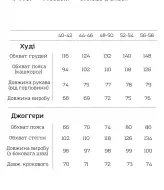 Чоловічий спортивний костюм VTI-7717.1A1080B1170