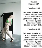 Прогулочный спортивный костюм ANB-347A1250