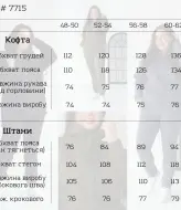 Спортивный костюм на молнии NJ-VTI-7715A1150