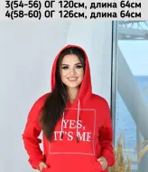 Худи с капюшоном NJ-LAN-1309A410