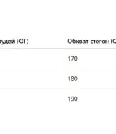 Сукня з довгим  рукавом   DAM-246A500 