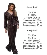 Женский велюровый спортивный костюм  AXY-065A600