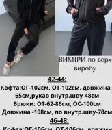 Спортивный велюровый костюм  JAV-804.5504A700