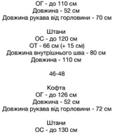 Спортивный костюм велюр женский SSY-016A650