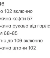 Спортивный костюм теплый женский   INNA-752A620