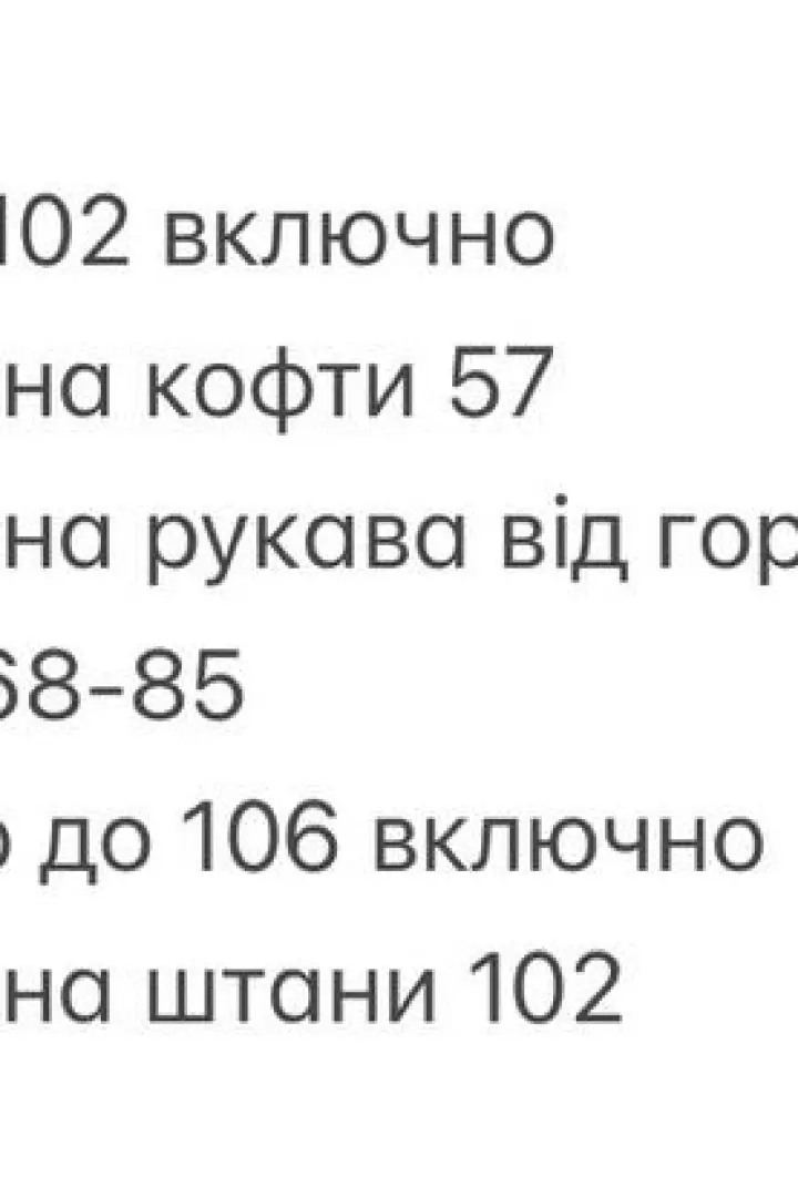 Спортивный костюм теплый женский   INNA-752A620