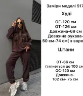 Флисовый спортивный костюм ANB-517A1400