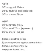 Спортивный теплый костюм ANM-308A650