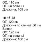 Велюровый костюм спортивный AVB-107A750