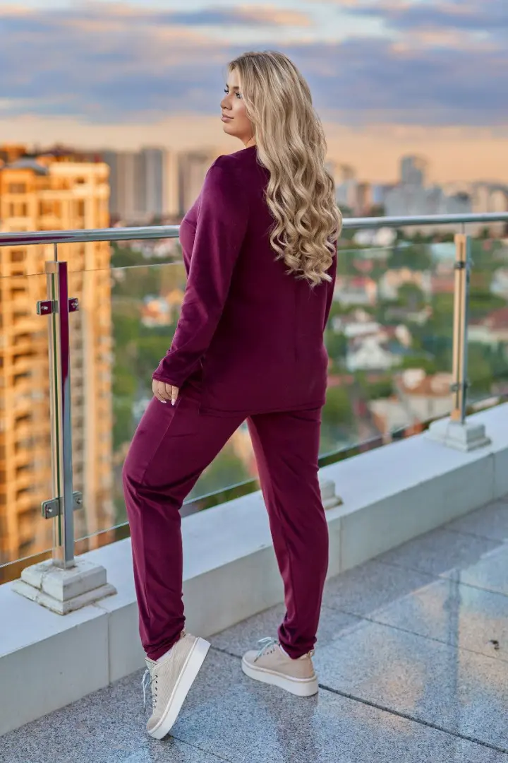 Велюровий костюм з апплікацією VOJ-331A500