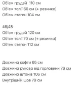 Костюм спортивный на флисе ANM-400A600