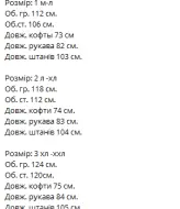 Мужской костюм флисовый VM-10526A620