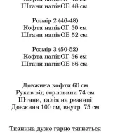 Спортивный костюм женский велюровый IND-2053A520