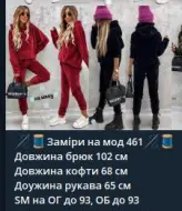 Велюровый костюм на меху  IPO-461A460