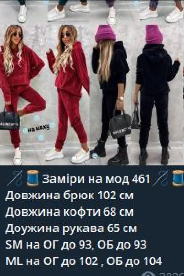 Велюровый костюм на меху  IPO-461A460