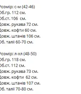 Теплый спортивный костюм женский на флисе VM-10523A510