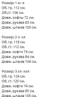 Костюм мужской спортивный теплый VM-10497A600
