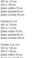 Мужской тёплый спортивный костюм  VM-10497.1A590