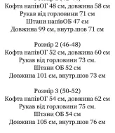 Спортивный костюм велюровый женский  IND-2068A500