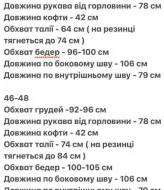 Спортивный велюровый костюм  AJO-470A640