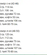 Спортивный костюм флис VM-10525A650