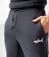 Спортивный мужской костюм на флисе DAM-274A1100