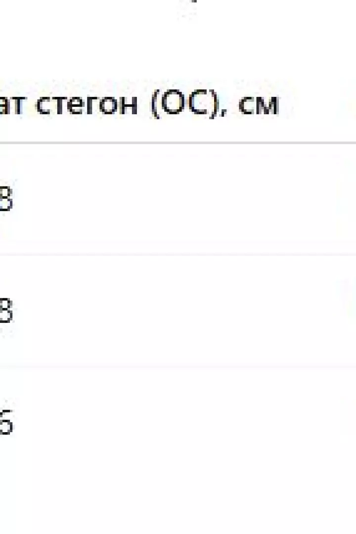 Штаны с лампасами женские   AJ-17184A430