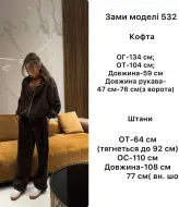 Базовий велюровий костюм ANB-532A650 