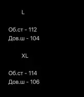 Спортивные штаны плащевка MUN-2080A499