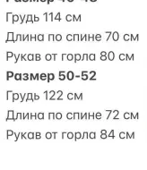 Мужская ветровка с капюшоном INT-0561A480