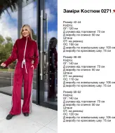 Велюровый костюм с лампасами AVB-0271A650