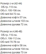 Костюм велюр плюш VM-10532A530