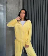 Спортивный велюровый костюм  JAV-820A750