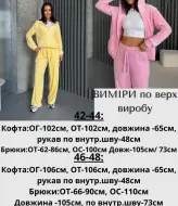 Спортивный велюровый костюм  JAV-820A750