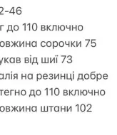Прогулянковий костюм двійка INNA-766A830