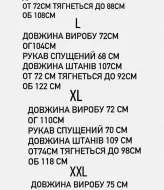Трикотажный спортивный костюм мужской  NBR-147.2A1560