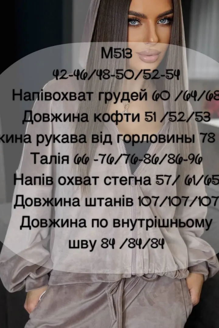 Велюр костюм  FAV-M513A750