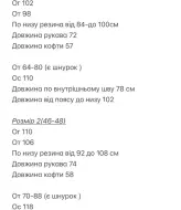 Велюровый костюм с лампасами  BOT-313A709