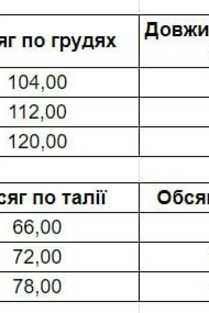 Костюм пиджак и брюки  LOU-1206.1A1250