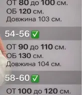 Женские штаны спортивные  INS-495A450