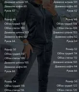 Бархатный спортивный костюм SABI-208.1A600